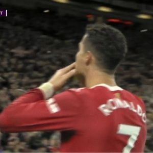 Meet your Posher, Wilber